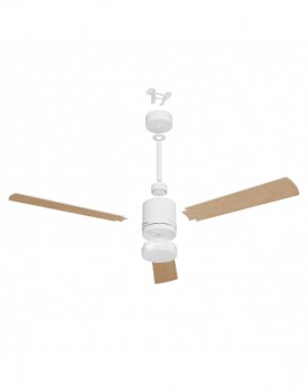 Ventilador de techo con luz Noaton